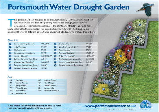 Drought Tolerant Garden