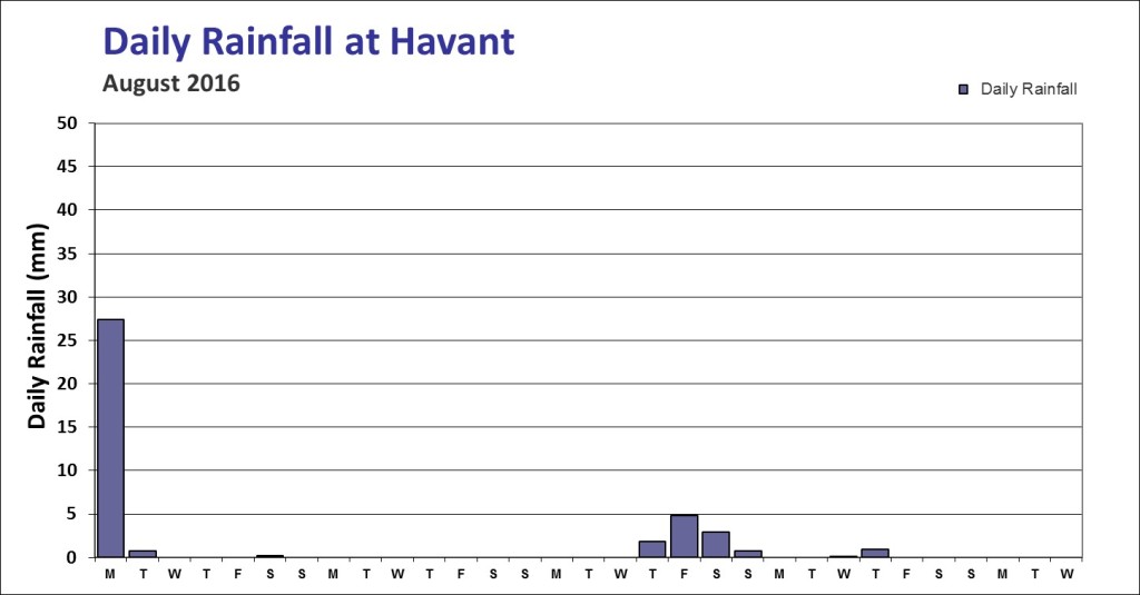 daily-hav-aug16