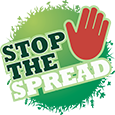 stop-small