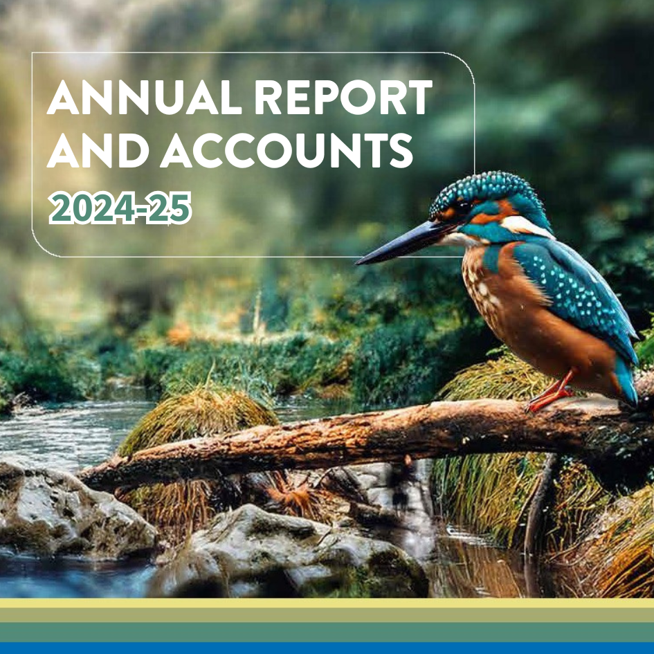 Annual report and accounts